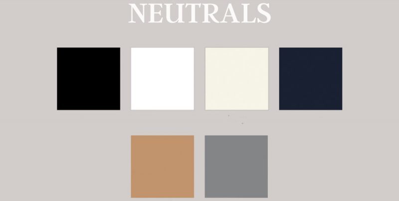Neutral color palette
