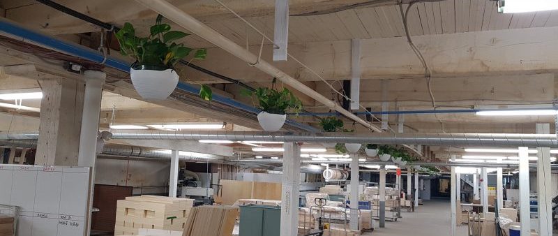 Bringing Nature into the Factory